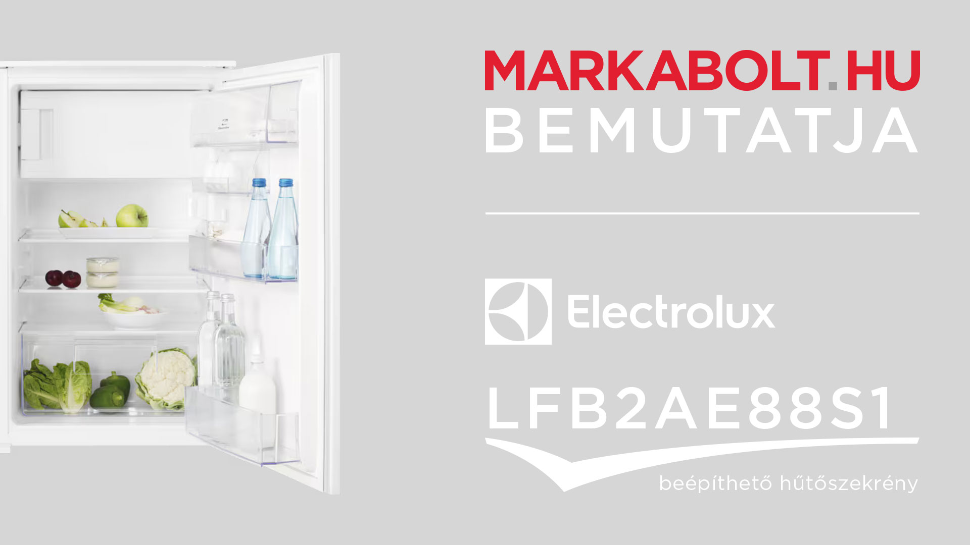 N&eacute;zd meg a Electrolux LFB2AE88S1 vide&oacute;j&aacute;t